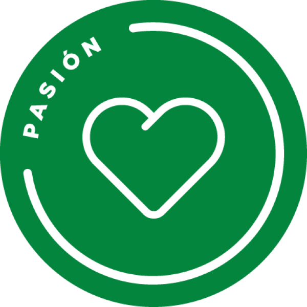 astilleros_pasionFV